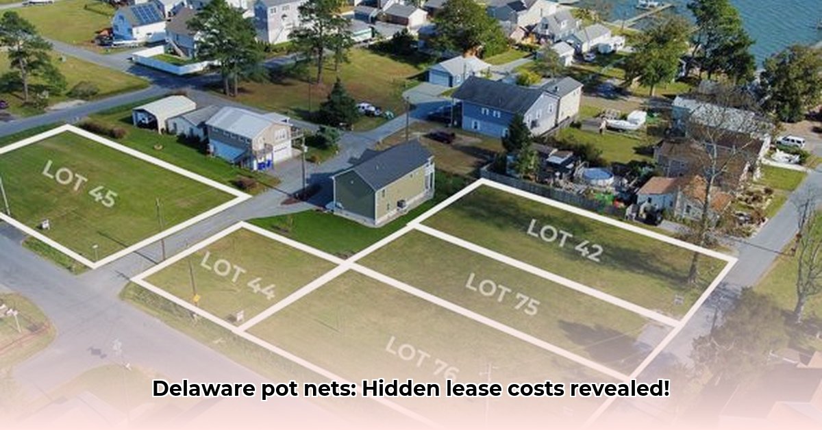 pot-nets-lease-fee-monthly-or-yearly